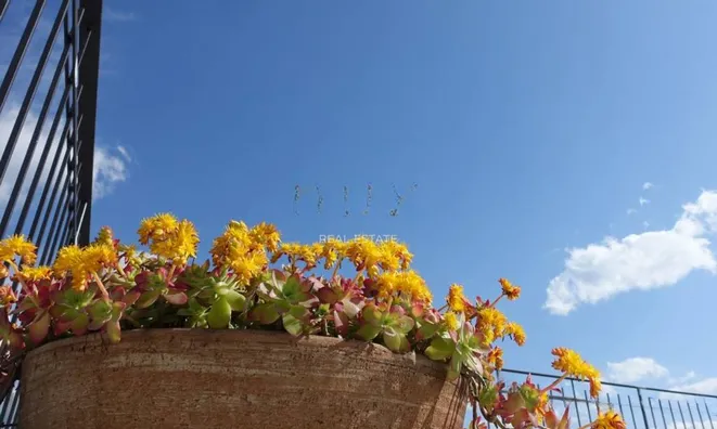 Недвижимость Четырехкомнатная квартира  
: 3