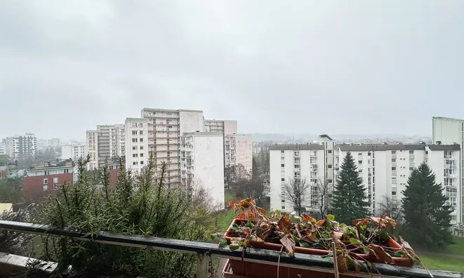 Недвижимость Квартира, 2 комнаты, ЛШ Шишка: 11