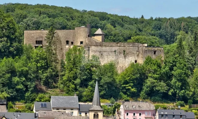 Недвижимость Castle for sale in Septfontaines: 1