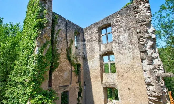 Недвижимость Castle for sale in Septfontaines: 3