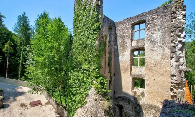 Недвижимость Castle for sale in Septfontaines: 4
