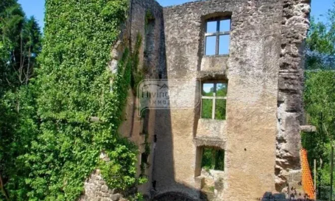 Недвижимость Castle for sale in Septfontaines: 6