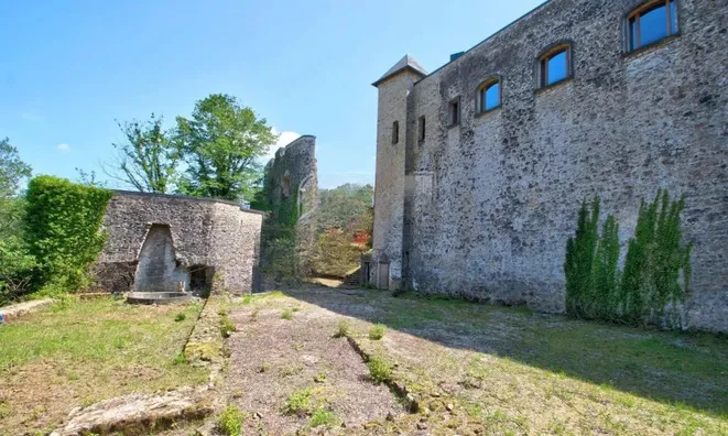Недвижимость Castle for sale in Septfontaines: 7