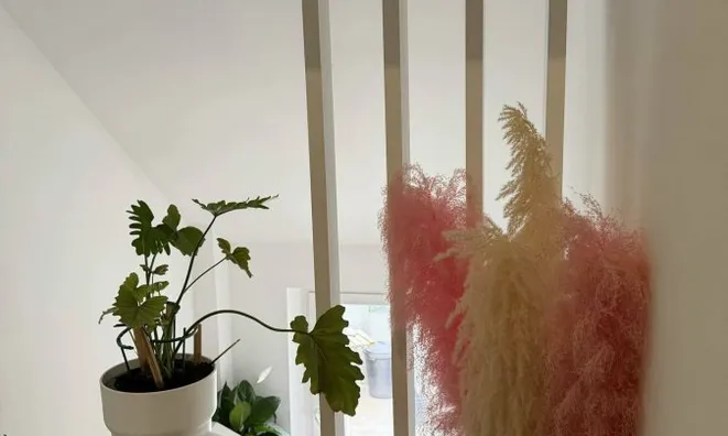 Недвижимость House 8 bedrooms for sale in Differdange: 3