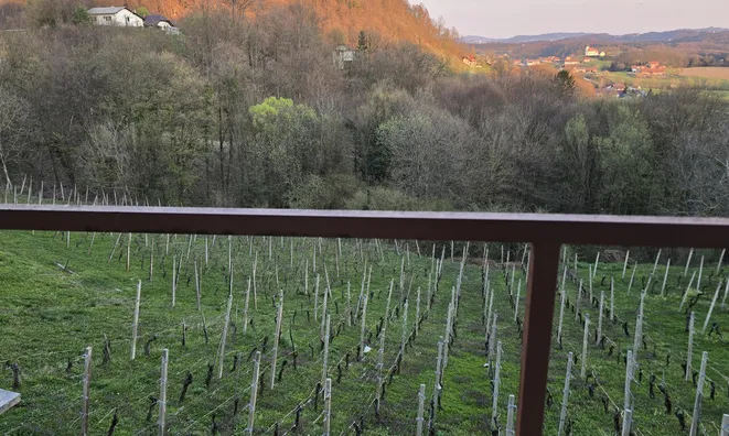 Недвижимость Дом, Древеник: 19