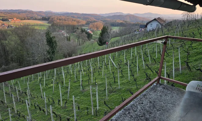 Недвижимость Дом, Древеник: 20