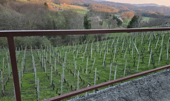 Недвижимость Дом, Древеник: 21