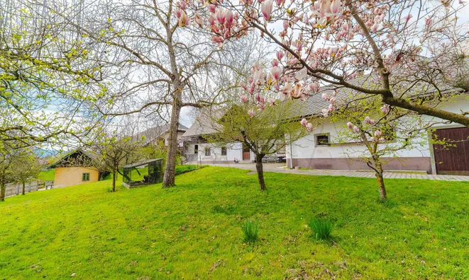 Недвижимость Участок, готовый к застройке в Бегунье-на-Гореньскем: 4