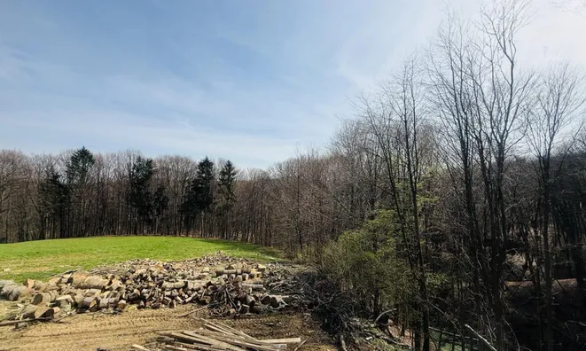 Недвижимость Дом, Сенешци: 12