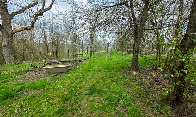 Недвижимость Дом в Малой Буковице: 10