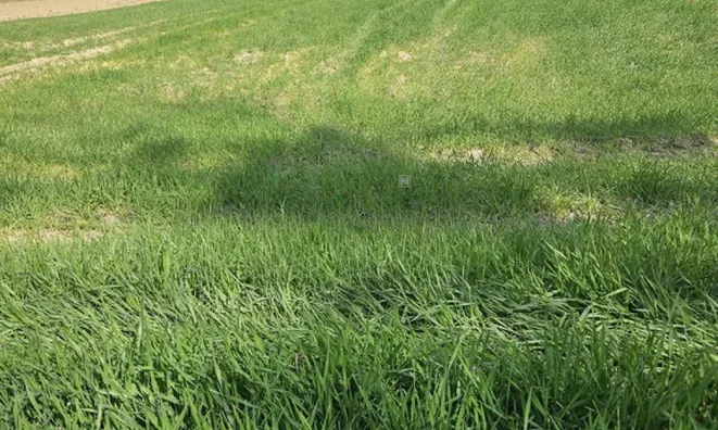 Недвижимость Хозяйственный комплекс Видовица: 4