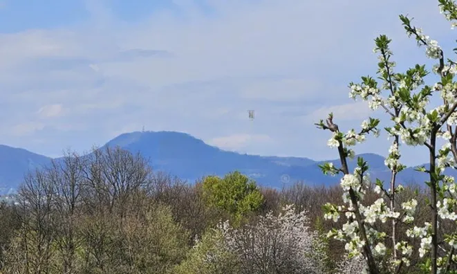 Недвижимость Хозяйственный комплекс Видовица: 5