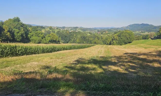 Недвижимость Хозяйственный комплекс Видовица: 6