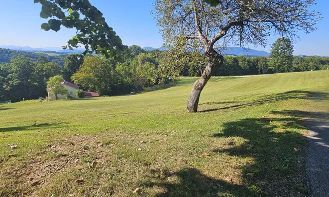 Недвижимость Хозяйственный комплекс Видовица: 7