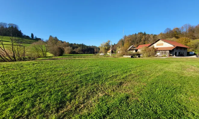 Недвижимость Имение Новое Раковецкое Хозяйство.: 1