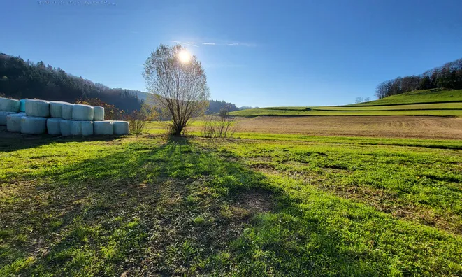 Недвижимость Имение Новое Раковецкое Хозяйство.: 3