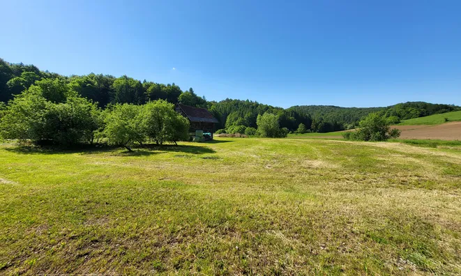 Недвижимость Имение Новое Раковецкое Хозяйство.: 4