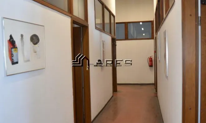 Недвижимость Деловое помещение Ново Стегне: 13