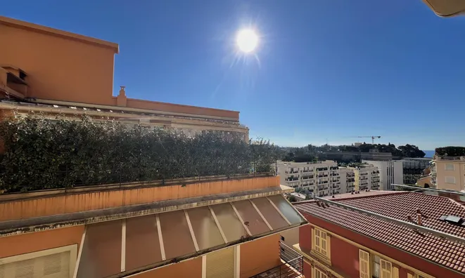 Недвижимость Apartment Monaco, Condamine: 10