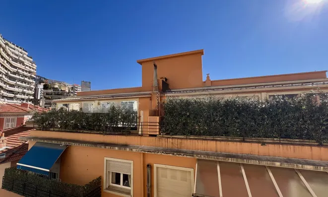 Недвижимость Apartment Monaco, Condamine: 11