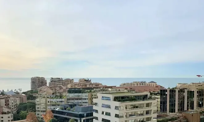 Недвижимость Apartment Monaco: 1