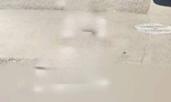 Недвижимость Квартира на аукционе Горизия: 11