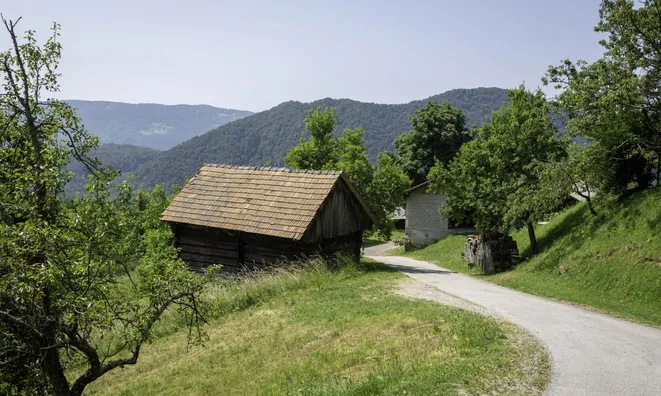 Недвижимость Усадьба Кметияново Сливно Шмогор: 10