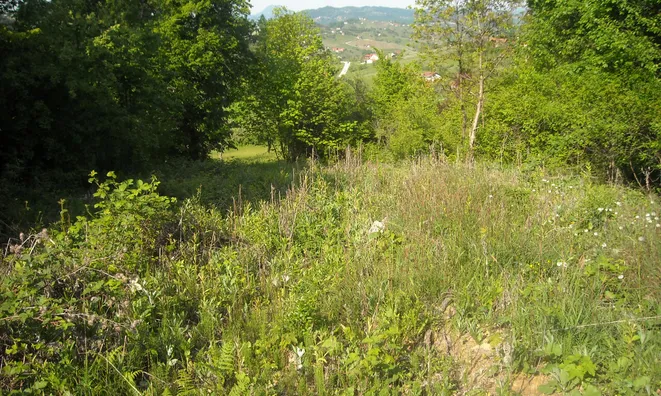 Недвижимость Владение, фермерское хозяйство Добриче.: 2