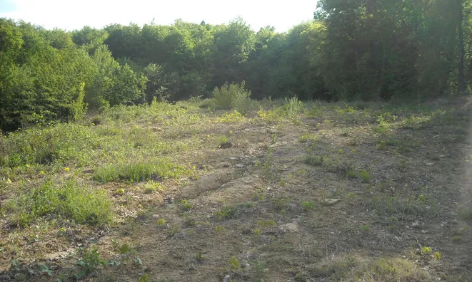 Недвижимость Владение, фермерское хозяйство Добриче.: 3