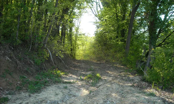 Недвижимость Владение, фермерское хозяйство Добриче.: 4