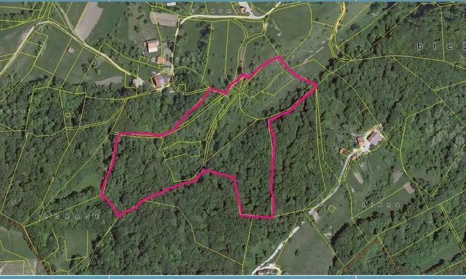 Недвижимость Владение, фермерское хозяйство Добриче.: 7