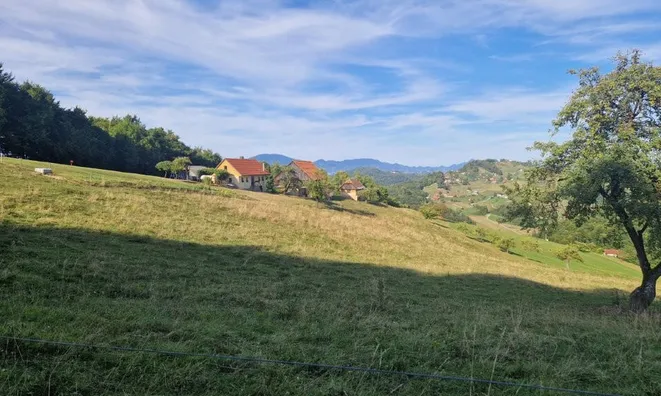 Недвижимость Поместье Маленькая Ферма.: 8