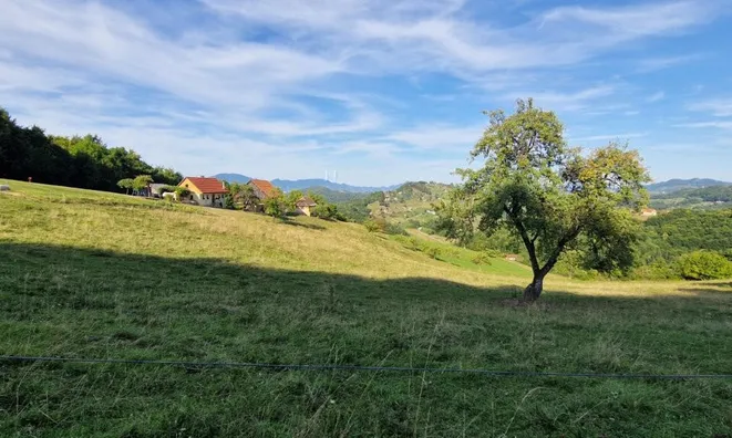 Недвижимость Поместье Маленькая Ферма.: 10