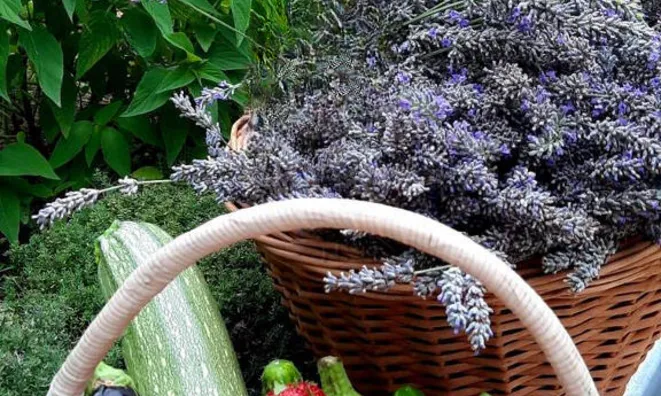 Недвижимость Дом с террасой в Ягодье: 4