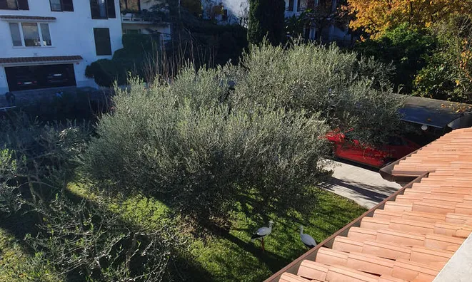 Недвижимость Дом с террасой в Ягодье: 21