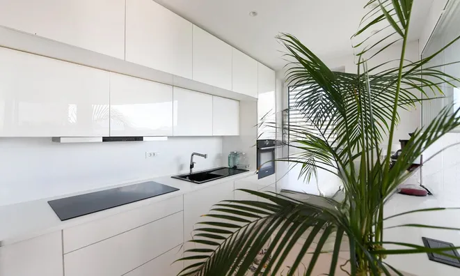 Недвижимость Пятикомнатная квартира Ново Галевица: 12