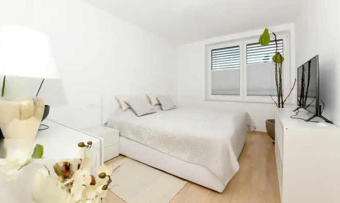 Недвижимость Пятикомнатная квартира Ново Галевица: 19