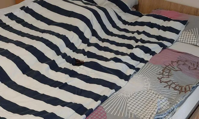 Недвижимость Квартира в Новом Поле: 21