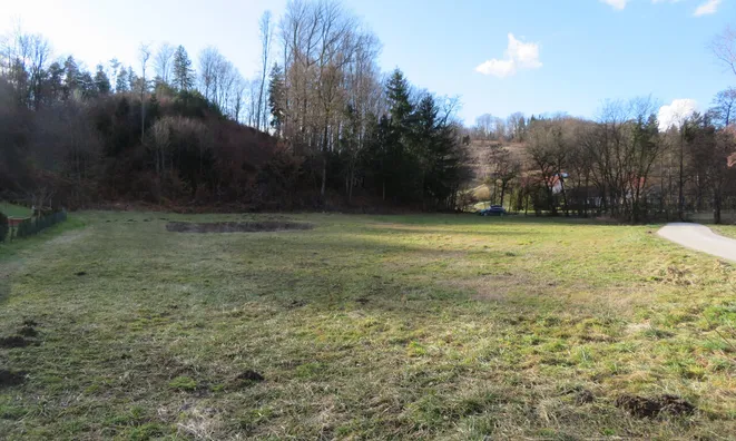 Недвижимость Земельный участок под застройку Нижние Сечово: 1