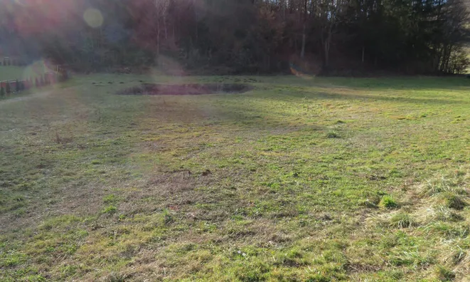 Недвижимость Земельный участок под застройку Нижние Сечово: 4