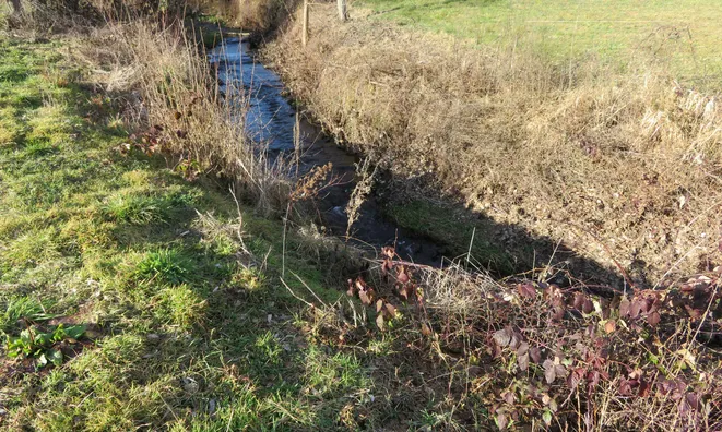Недвижимость Земельный участок под застройку Нижние Сечово: 8