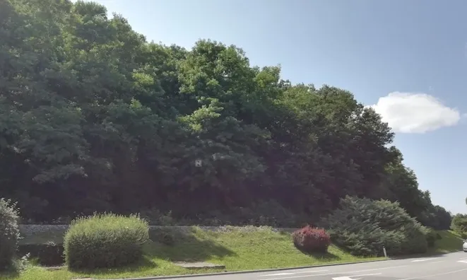 Недвижимость Земельный участок под застройку в Рогашке-Слатине: 2