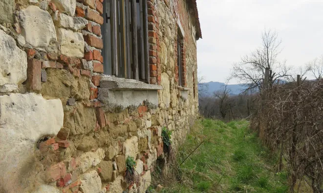 Недвижимость Земельный участок вблизи центра Рогашки-Слатины: 6