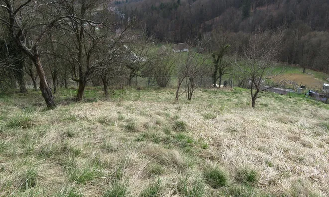 Недвижимость Земельный участок вблизи центра Рогашки-Слатины: 9