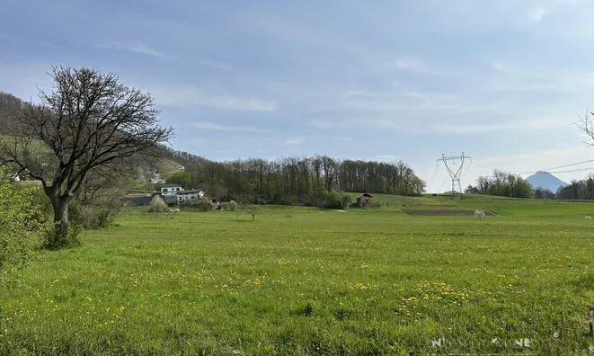 Недвижимость Земельный участок под застройку в Церовце под Бочем: 1