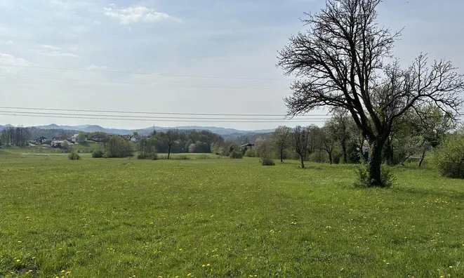 Недвижимость Земельный участок под застройку в Церовце под Бочем: 6