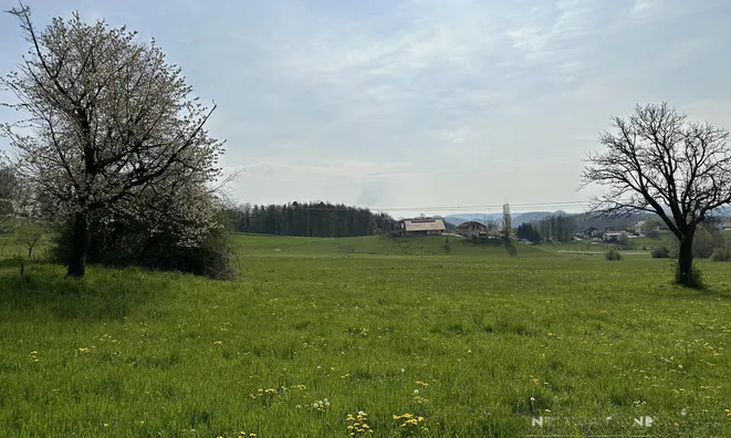 Недвижимость Земельный участок под застройку в Церовце под Бочем: 11