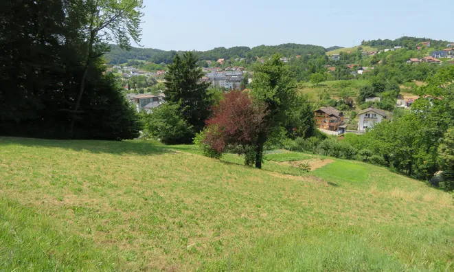 Недвижимость Земельный участок под застройку в Рогашке Слатине: 3