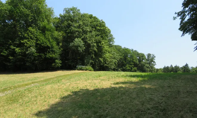 Недвижимость Земельный участок под застройку в Рогашке Слатине: 4