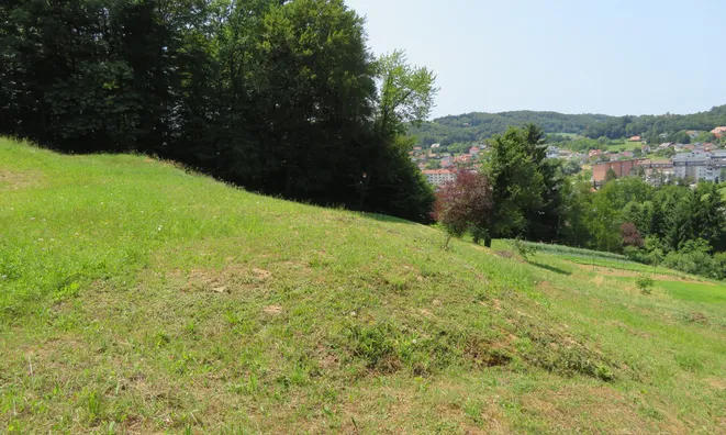 Недвижимость Земельный участок под застройку в Рогашке Слатине: 6